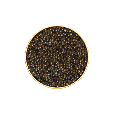 Kaluga Hybrid Caviar