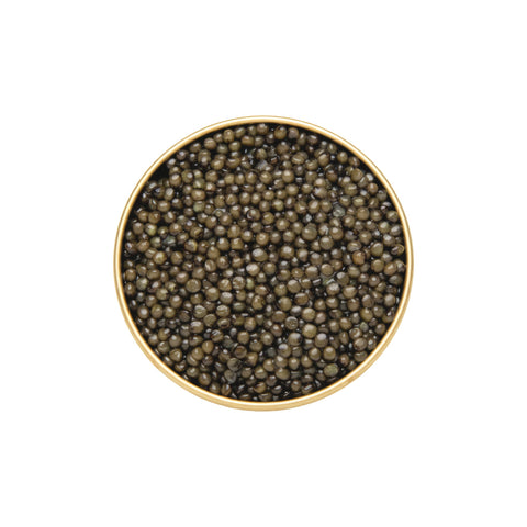 Classic Osetra Caviar