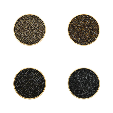 Classic Osetra, Kaluga Hybrid, Siberian Sturgeon & Hackleback Caviar Tasting Set (4 x 1.76 oz)
